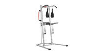 BowFlex BodyTower