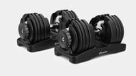 BowFlex Results Series 90 SelectTech Dumbbells--thumbnail