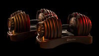 BowFlex Results Series 552 SelectTech Dumbbells - Sold as a pair--thumbnail