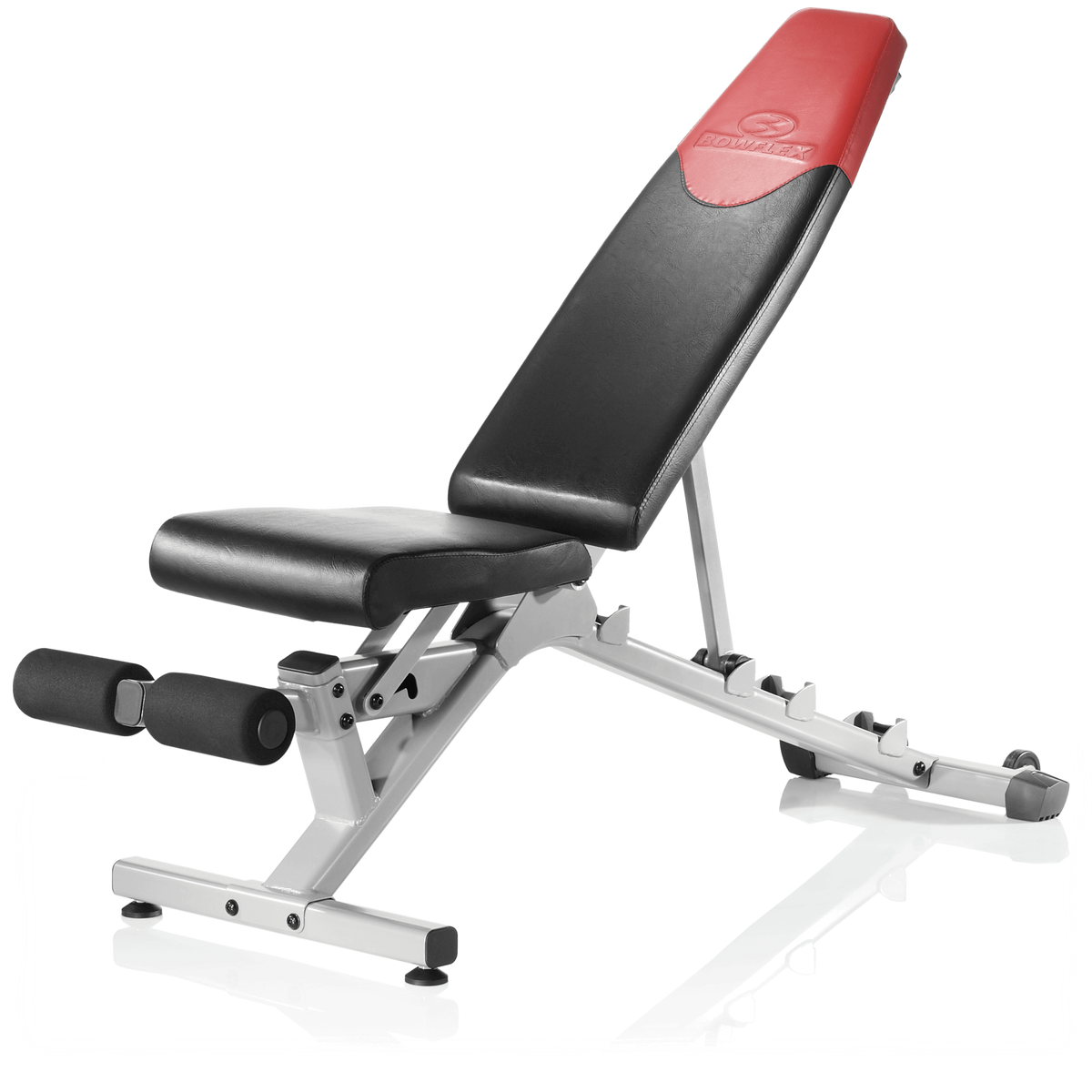 Bowflex SelectTech 560, Bench, and Stand Bundle | Bowflex