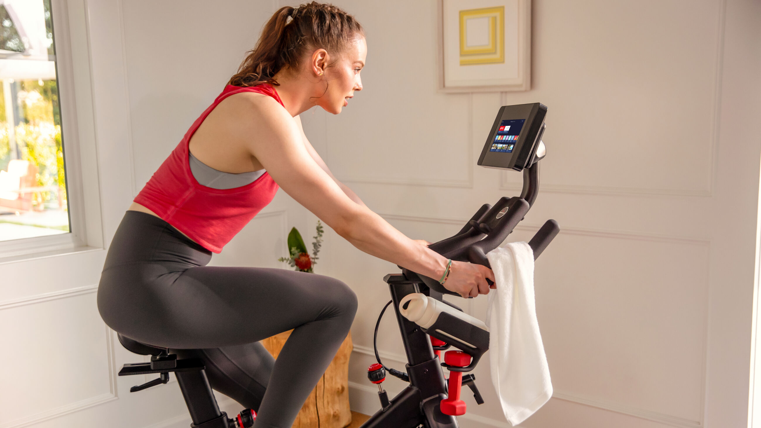 BowFlex C7 Bike BowFlex