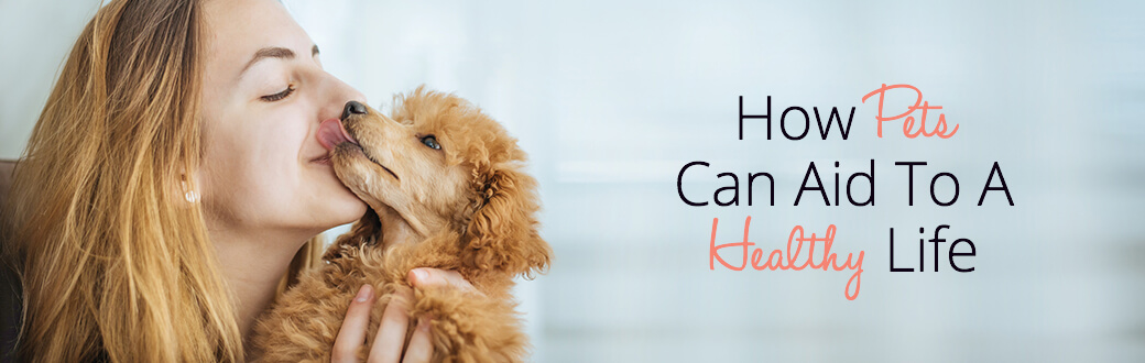 How Pets Can Aid To A Healthy Life