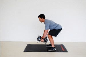 Bent Over Rows
