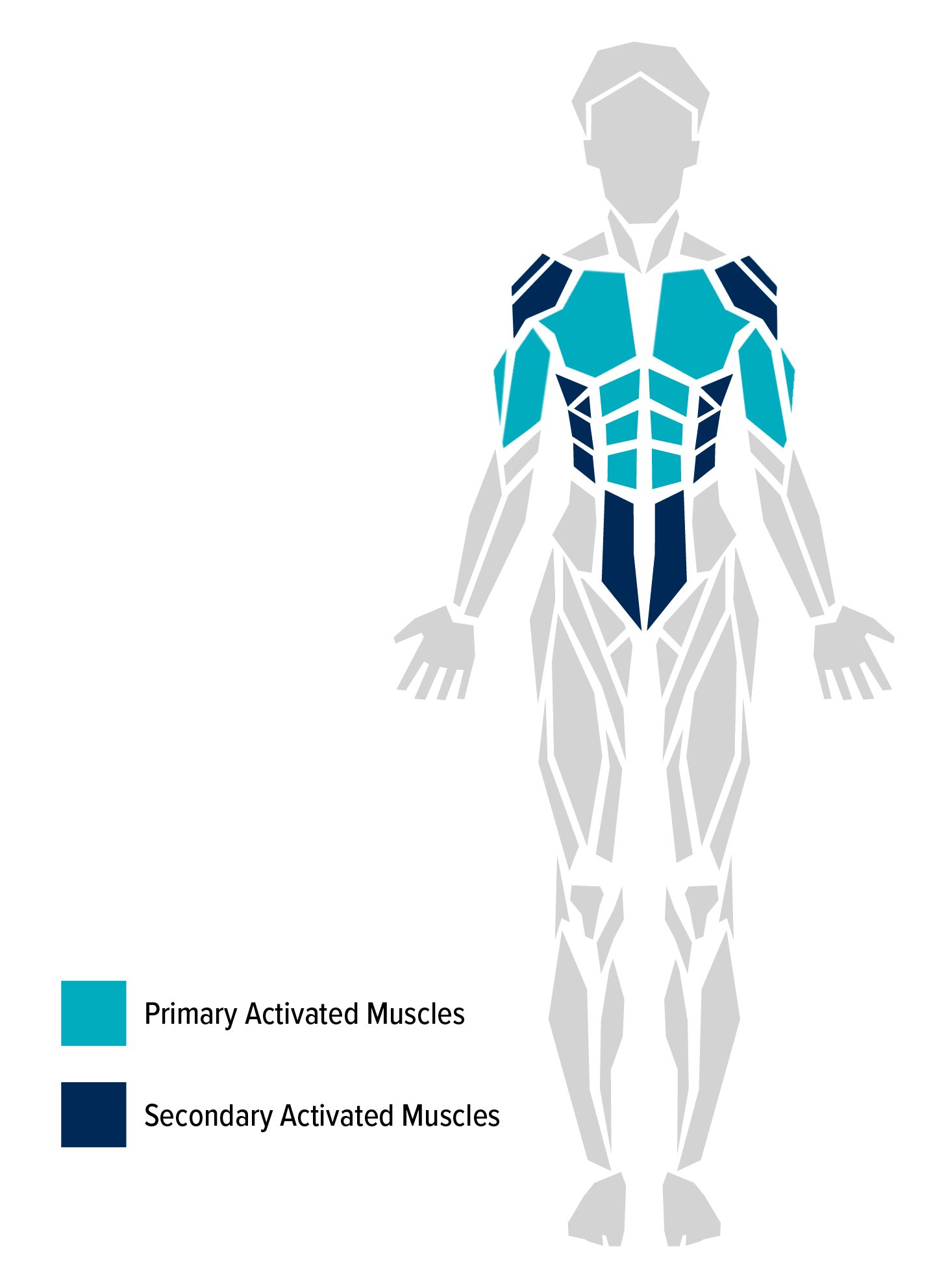 Perfect Pushup Exercise Chart