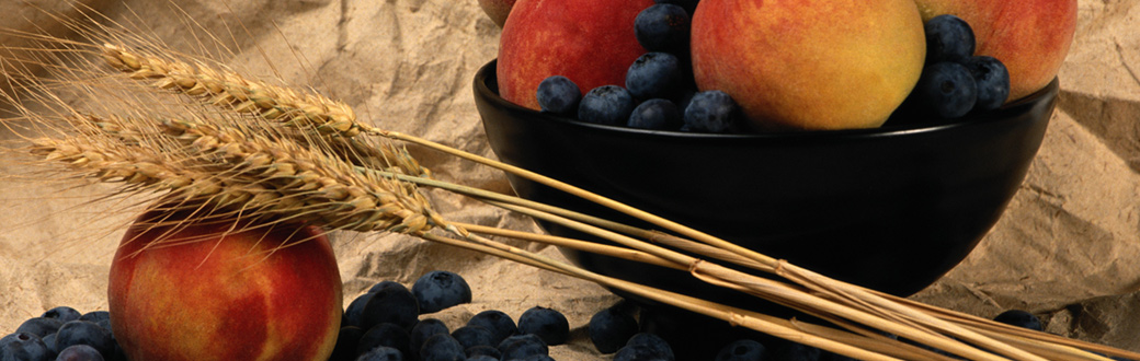 Fruits and Grain