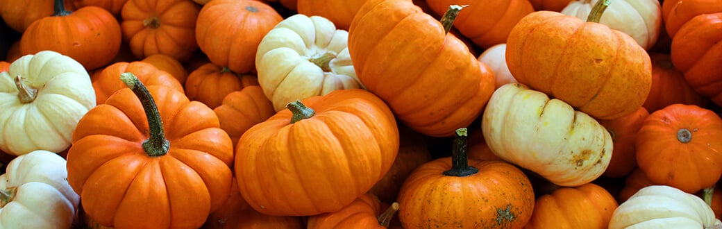 A variety of pumpkins