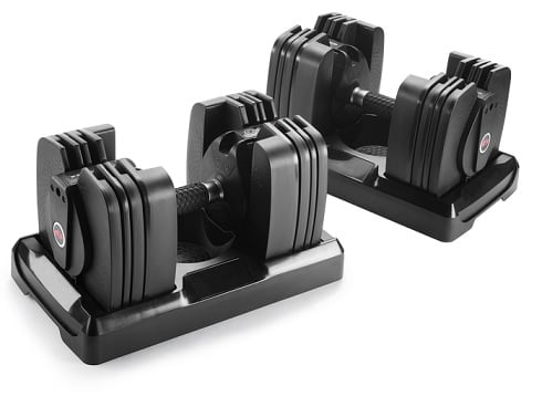 BowFlex SelectTech 560 Dumbbells