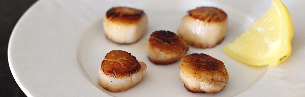 Seared scallops on a plate