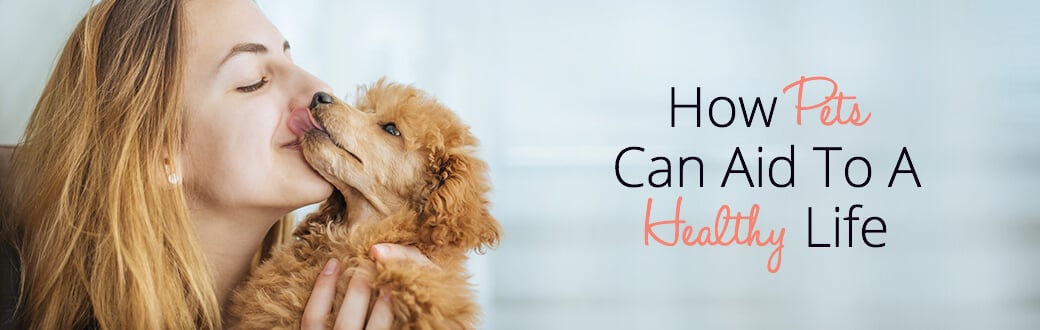 How Pets Can Aid To A Healthy Life