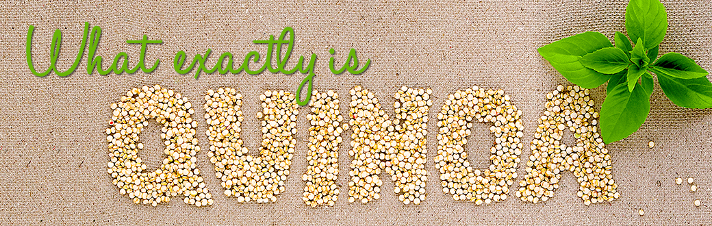 What Exactly Is Quinoa?