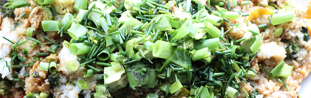 Rice topped with chopped avocado, broccoli, and green onions.