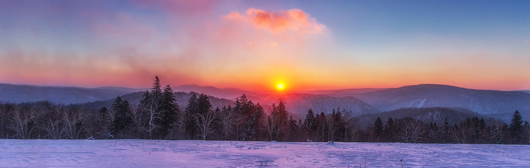 A sunset over a snowy field and trees.