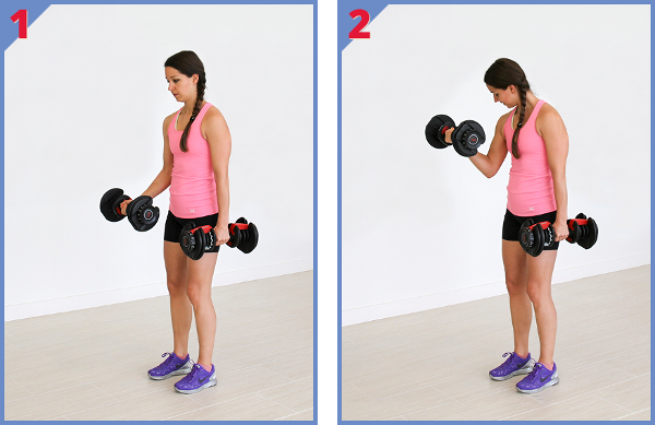 Biceps Curls Positions 1 and2